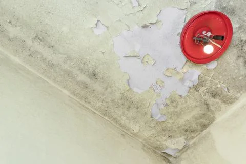 Deteriorated yellow wall Stock Photos