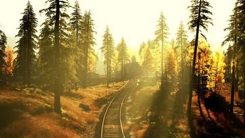 Deteriorating railway snaking through a dense pine forest at sunset Stock Illustration