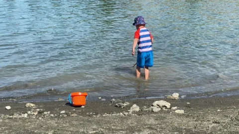 Determined Discovery: Young Boy Hunts for Lake Treasures with a Net Stock Footage 311274846