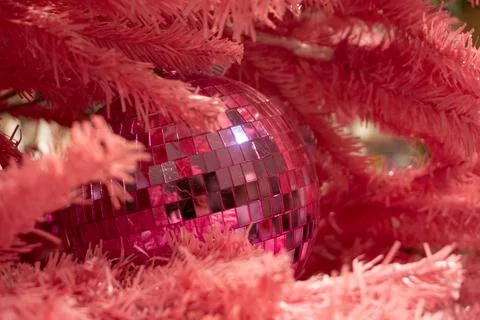 A determined man with a beard Stock Photos