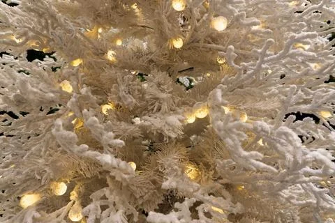 A determined man with a beard Stock Photos