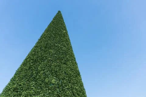 A determined man with a beard Stock Photos