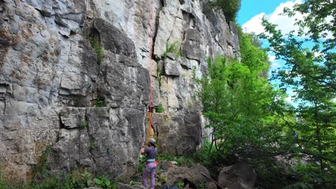 Determined rock climber scaling steep cliff face at Rattlesnake Point, Ontario Stock Footage 342341458