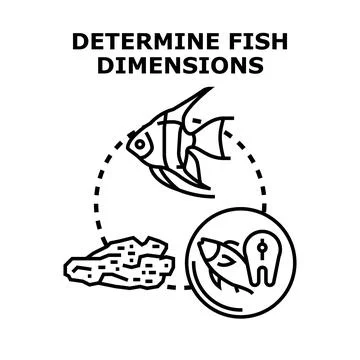 Determining fish characteristics and dimensions vector illustration Stock Illustration