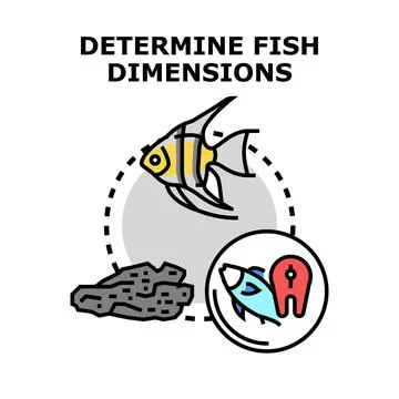 Determining fish characteristics and dimensions vector illustration Stock Illustration