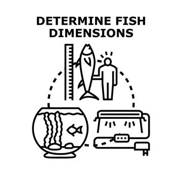 Determining fish dimensions for home aquarium and fishing Stock Illustration