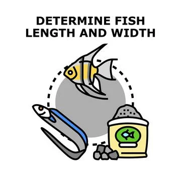 Determining fish length and width vector concept Stock Illustration