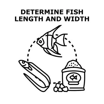 Determining fish length and width vector concept Stock Illustration