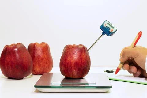 Determining temperature in an apple, food control and food safety Stock Photos