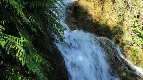Detian Waterfall Stock Footage 145856997
