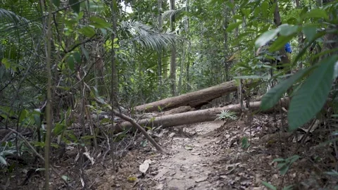 Detouring Video stock 158353110