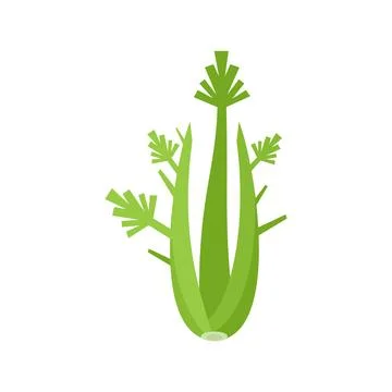 Detox celery icon flat isolated Illustrazione stock