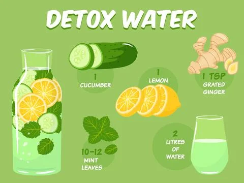 Detox water elements. Antioxidant cleansing drink recipe, natural ingredients Stock Illustration