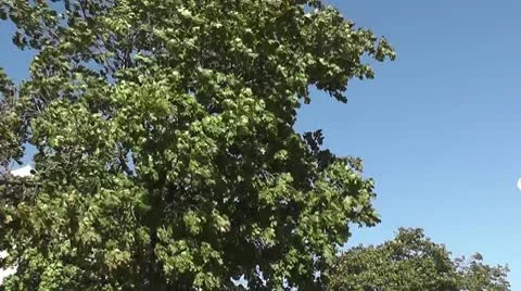 DETROIT-045 Stock Footage 10606211