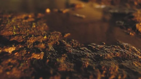 DEVASTATED GROUND FULL OF BROWN MUD Stock Footage 100287828