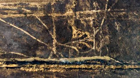 Devastated land, after a fire, top view. Disaster and emergency events Foto stock