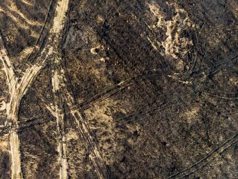 Devastated land, after a fire, top view. Disaster and emergency events Foto stock