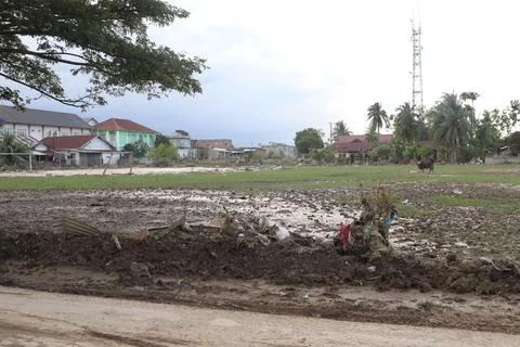 Devastated Landscape with Mud and Wreckage After a Flood Foto stock