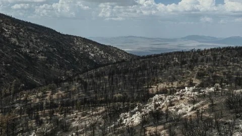 Devastating aftermath of a wildfire in a mountain forest Видео 332962122