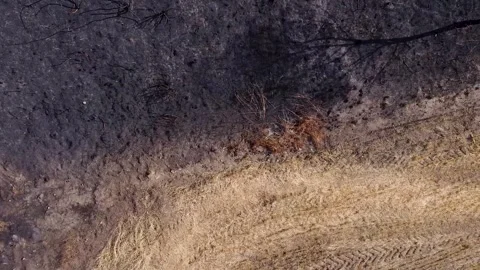The devastating aftermath of a wildfire showing the black scorched earth an.. Stock-Footage 314707412