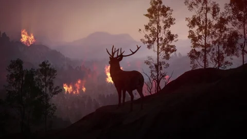 Devastating climate wildfire disaster consuming mountain forests Stockbeeldmateriaal 339634573