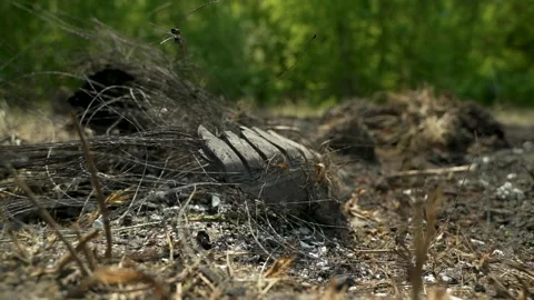 Devastating consequences of a fire: remnants of a burned tire on the road. Video stock 270519238