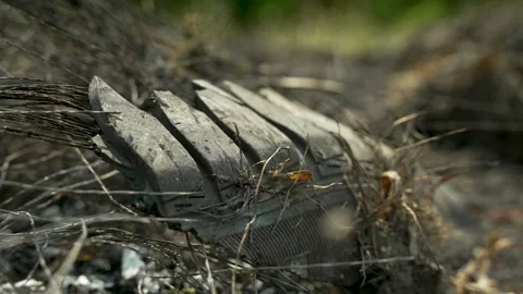 Devastating consequences of a fire: remnants of a burned tire on the road. 库存影片 270519239