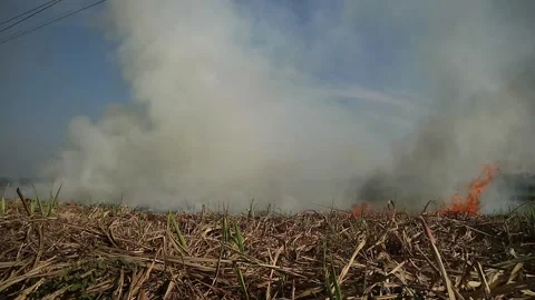 A devastating fire spreading across a parched dry field Stock Footage 253392957