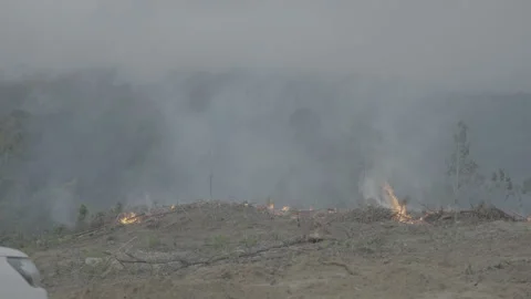 Devastating forest fire engulfs a lush jungle highlighting the dangers Stock Footage 264970044