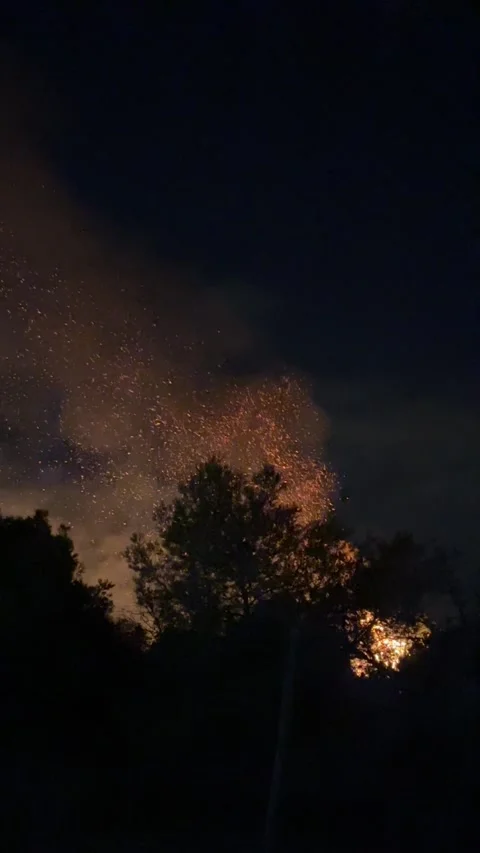 Devastating nighttime forest fire with burning trees, billowing smoke Stock Footage 345424735