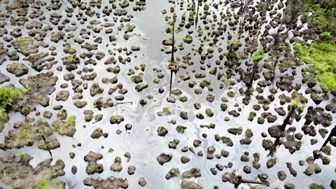 The devastating oil spill disaster in the Niger Delta continues to destroy Stock Footage 336089552