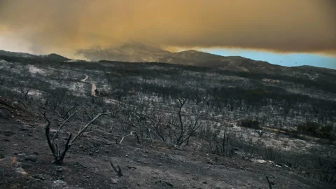 Devastating wildfire aftermath with burning forest and smoke Vídeos de archivo 332963423