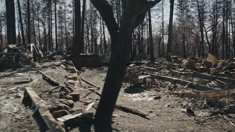 Devastating wildfire aftermath destroying homes and forest 스톡 동영상 332963222
