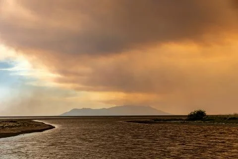 Devastating wildfire in Alexandroupolis Evros Greece, ecological and enviro.. Stock Photos