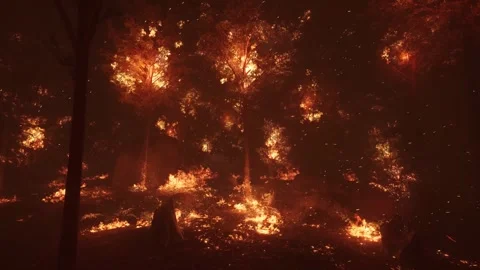 Devastating wildfire in the forest. Majestic trees on fire. Stock Footage 302795114