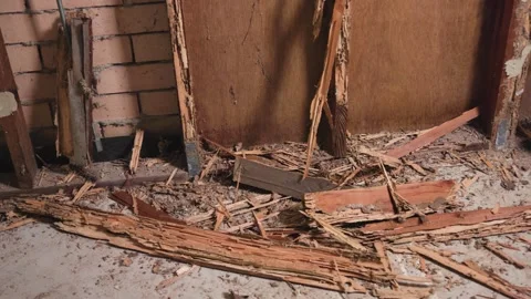 Devastation of a home after an attack from termites white ants Stock Footage 333290724