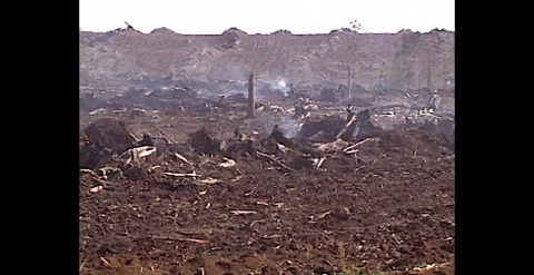 Devastation from Industrial Logging in Tasmanian Forest 1990s Video stock 310166367