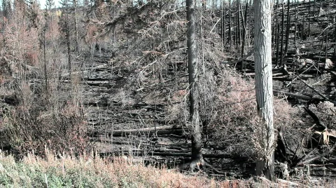 Devastation of Landscape Stock Footage 854969