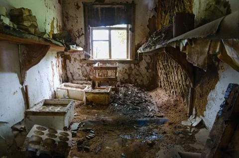Devastation in premises of veterinary laboratory in Chernobyl exclusion zone Stock-Fotos