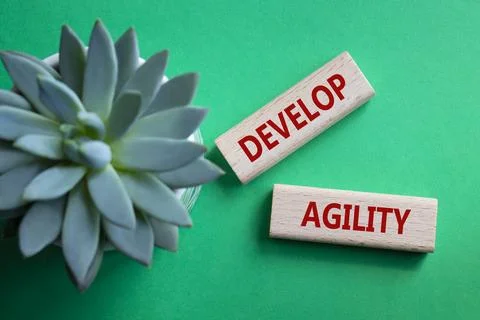 Develop agility symbol. Concept word Develop agility on wooden blocks. Beau.. 스톡 사진