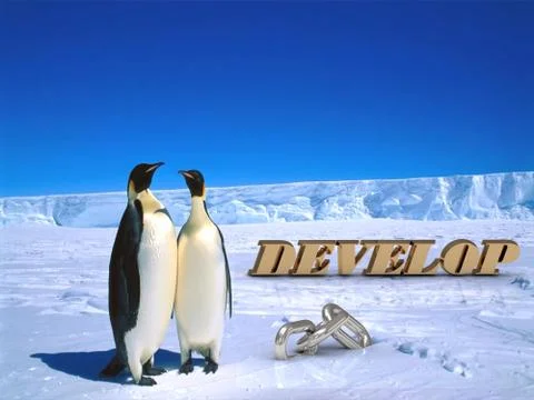 DEVELOP  Two foolish penguins and big silver chain on driftage ice on north p 스톡 일러스트