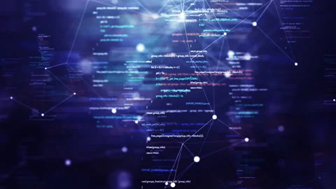 Developer Code Network System Video stock 328565021