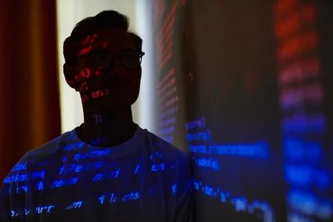 Developer presenting computer presentation Stockfoto's