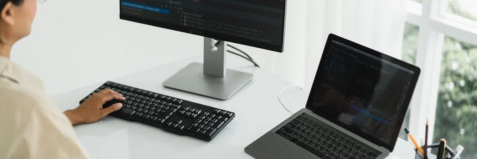 Developer programmer programming code to developing website and application.. 스톡 사진