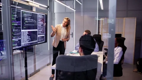 Developer Programmer Team Meeting Stock Footage 252335723