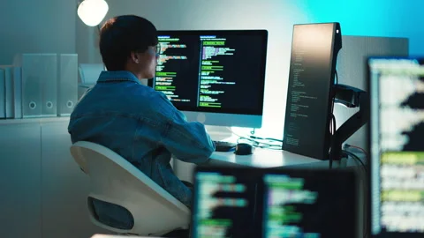 Developer reviewing code for system development and backend programming Stock Footage 313813570