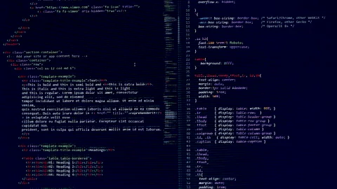 Developer software source code on monitor screen. writing script of software Stock Footage 159642036