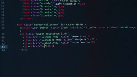 Developer software source code on monitor screen. writing script of software Stock Footage 159642796