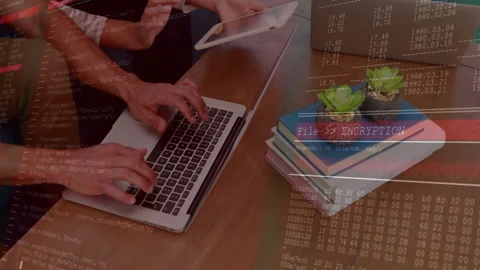 Developer typing on laptop launching encryption script, colleague confirming key Stock Footage 311916396