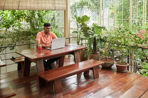 Developer Working in Cafe Stock Photos